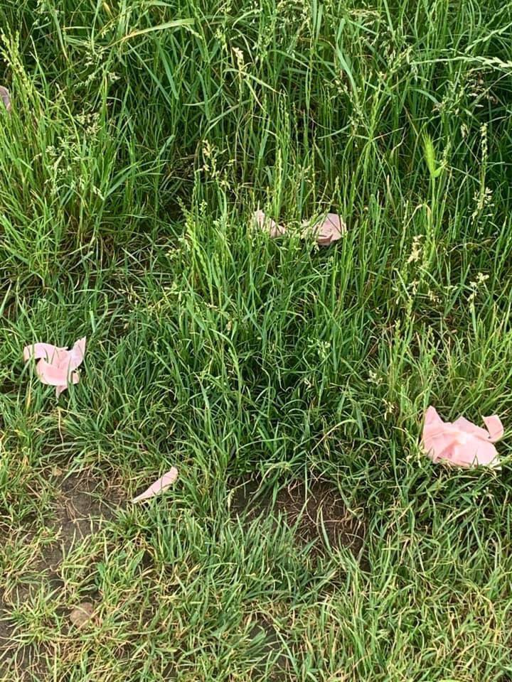 Giftköder-Giftköder im Feld verteilt-Profilbild