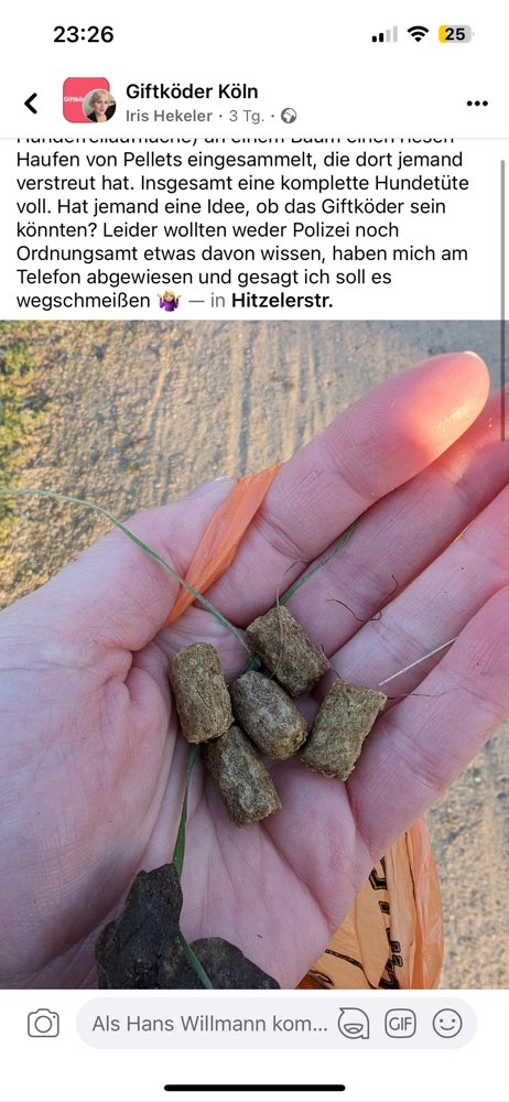 Giftköder-Giftköder-Profilbild