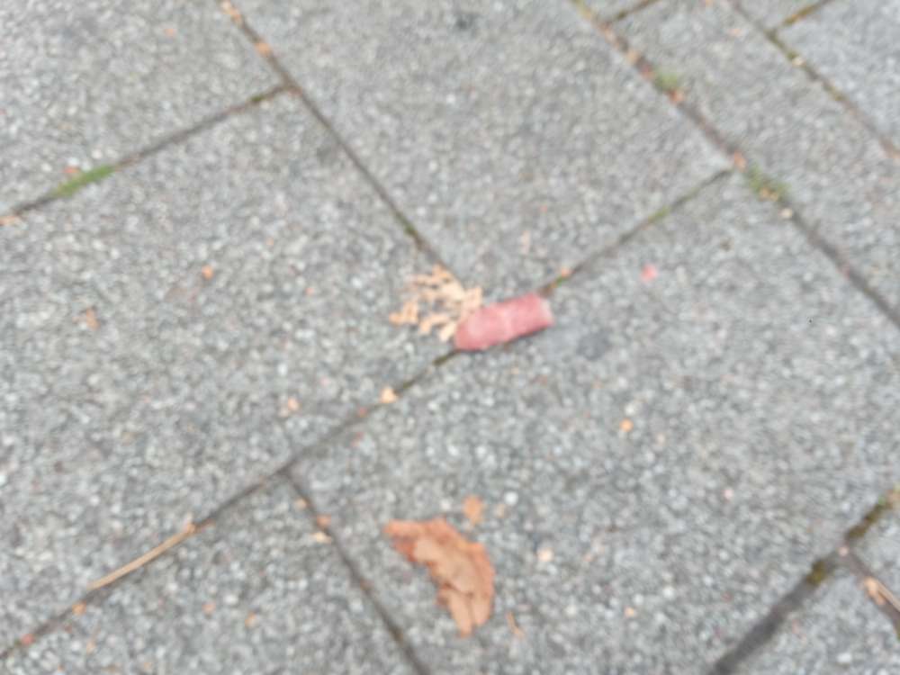 Giftköder-Geschnittene Mettwürstchen-Profilbild