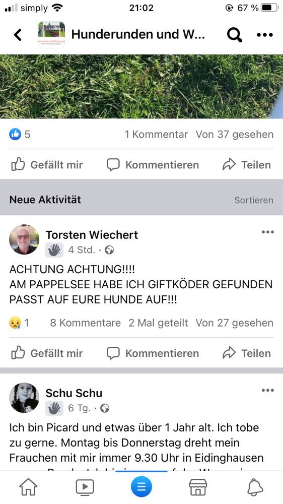 Giftköder-Giftköder-Profilbild