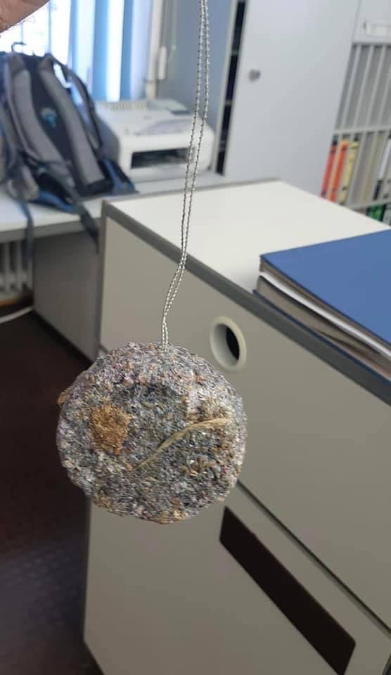 Giftköder-Achtung Giftköder-Profilbild