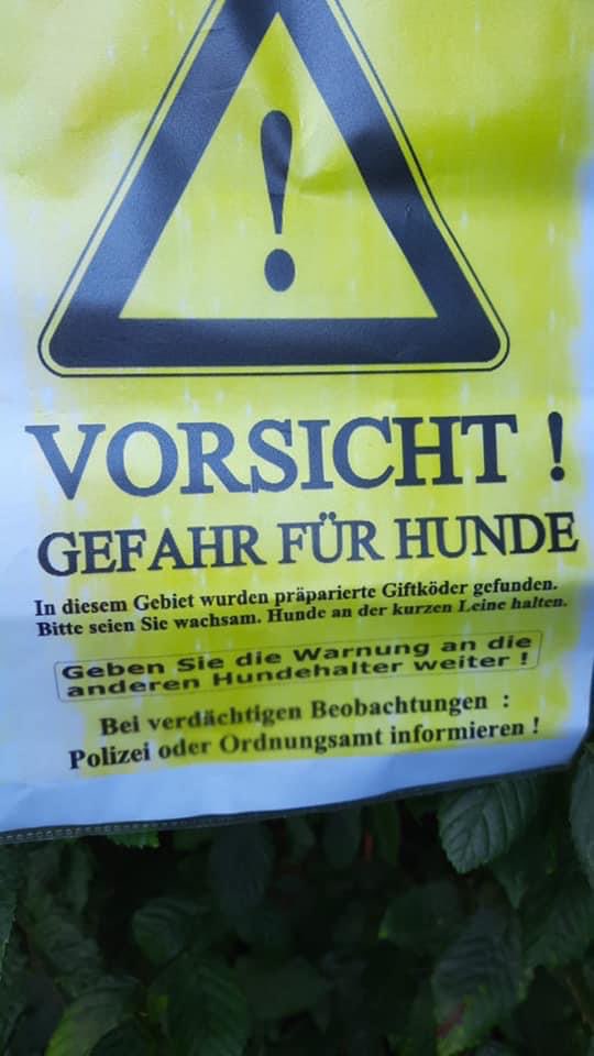 Giftköder-Paste mit Nägel-Profilbild