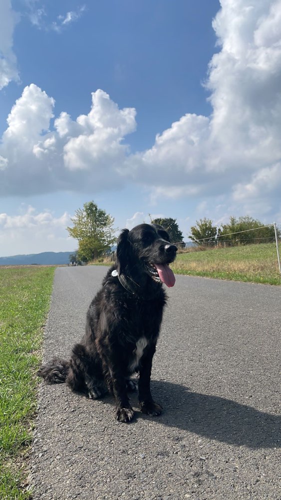 Suchmeldung-Martha-Profilbild