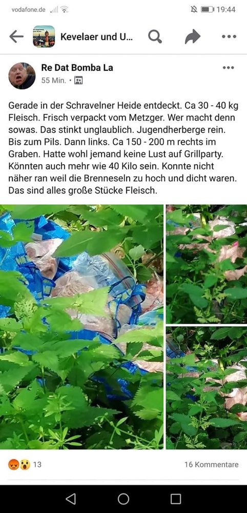 Giftköder-Ausgelegtes Fleisch-Profilbild