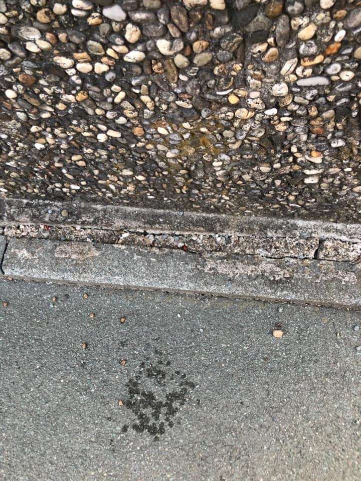 Giftköder-Giftköder-Profilbild