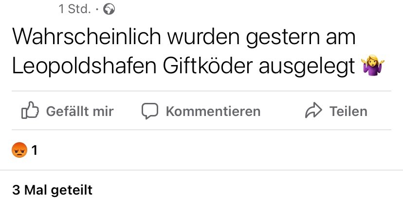 Giftköder-Wahrscheinlich Giftköder-Profilbild