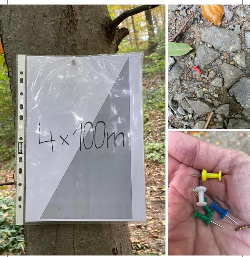 Giftköder-Reiszwecke ausgelegt-Profilbild