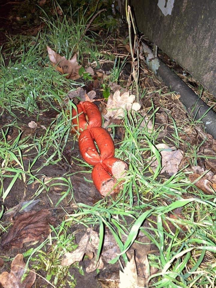 Giftköder-Erneut ausgelegte Würste-Profilbild