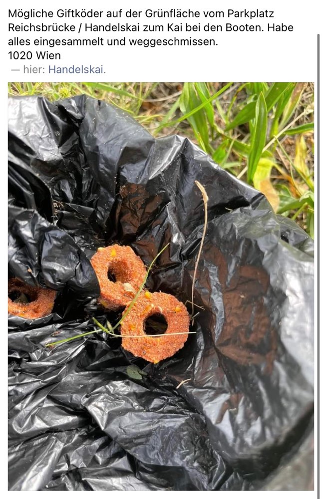 Giftköder-Giftköder-Profilbild