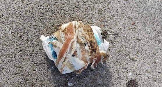Giftköder-Giftköder-Profilbild