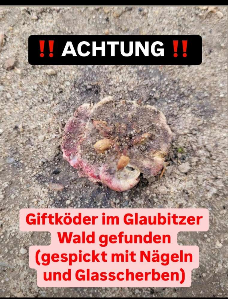 Giftköder-Giftköder mit Nägeln und Glas-Profilbild