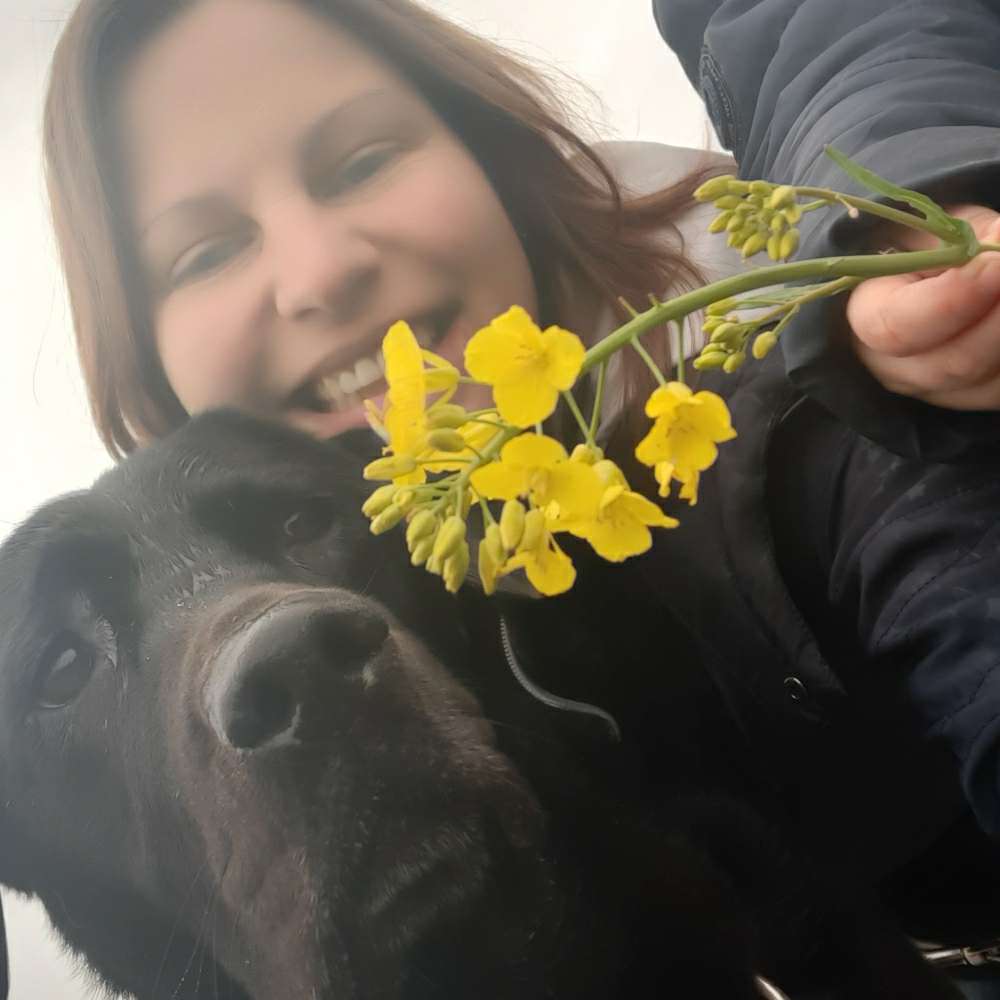 Hundetreffen-Hunde-Kinder-Gassi- und Spieletreffen-Profilbild