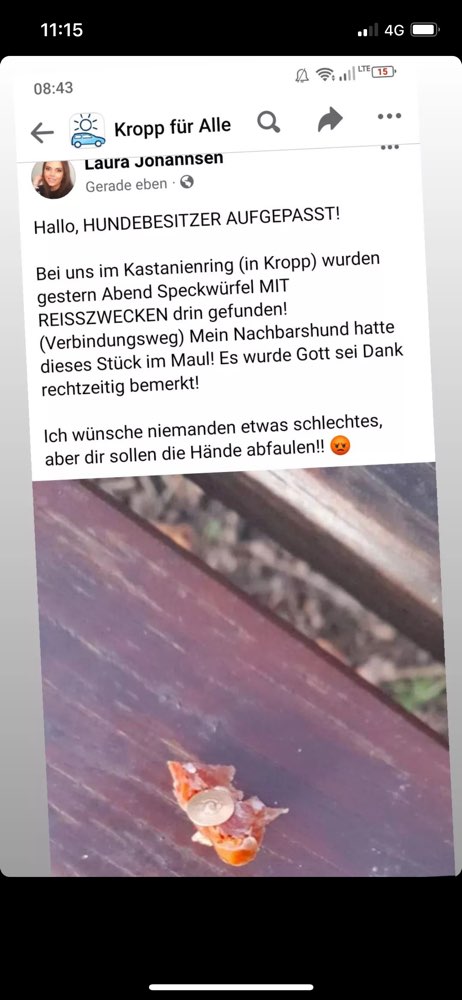 Giftköder-Köder mit Reißzwecken-Profilbild