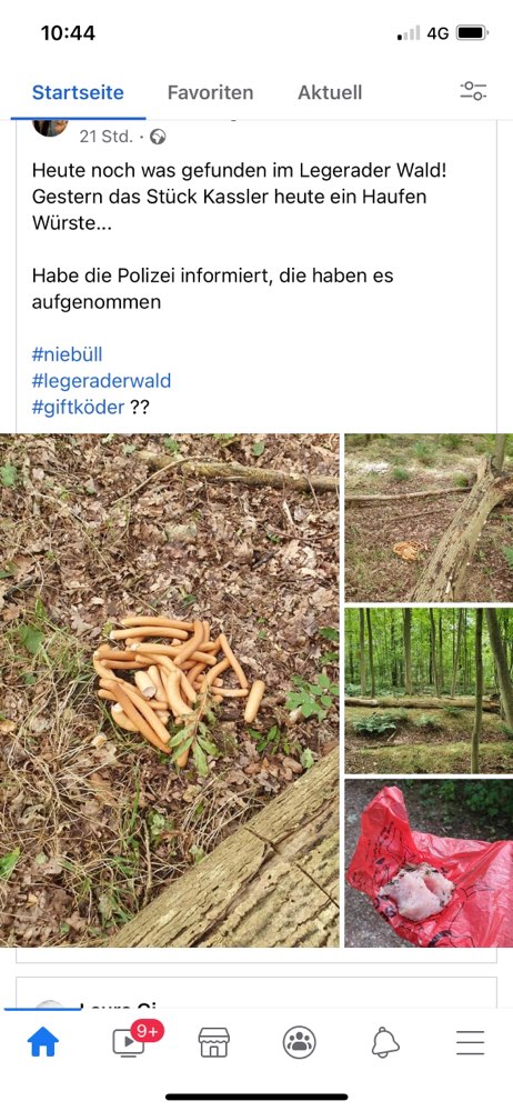 Giftköder-Giftköder Legerader Wald-Profilbild
