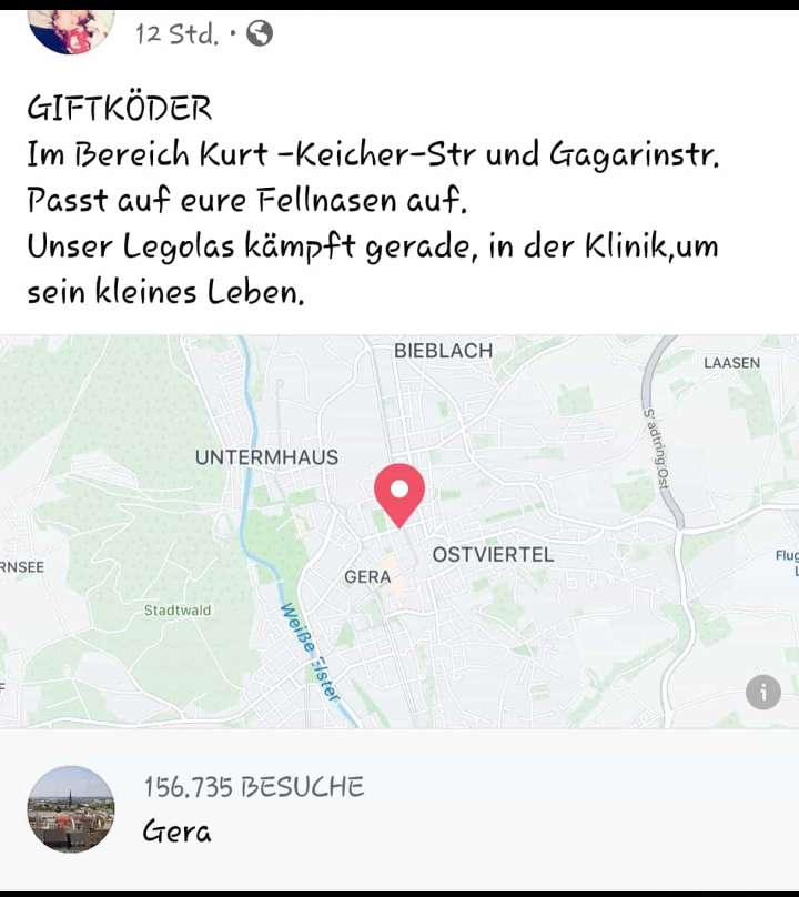Giftköder-Giftköder-Profilbild