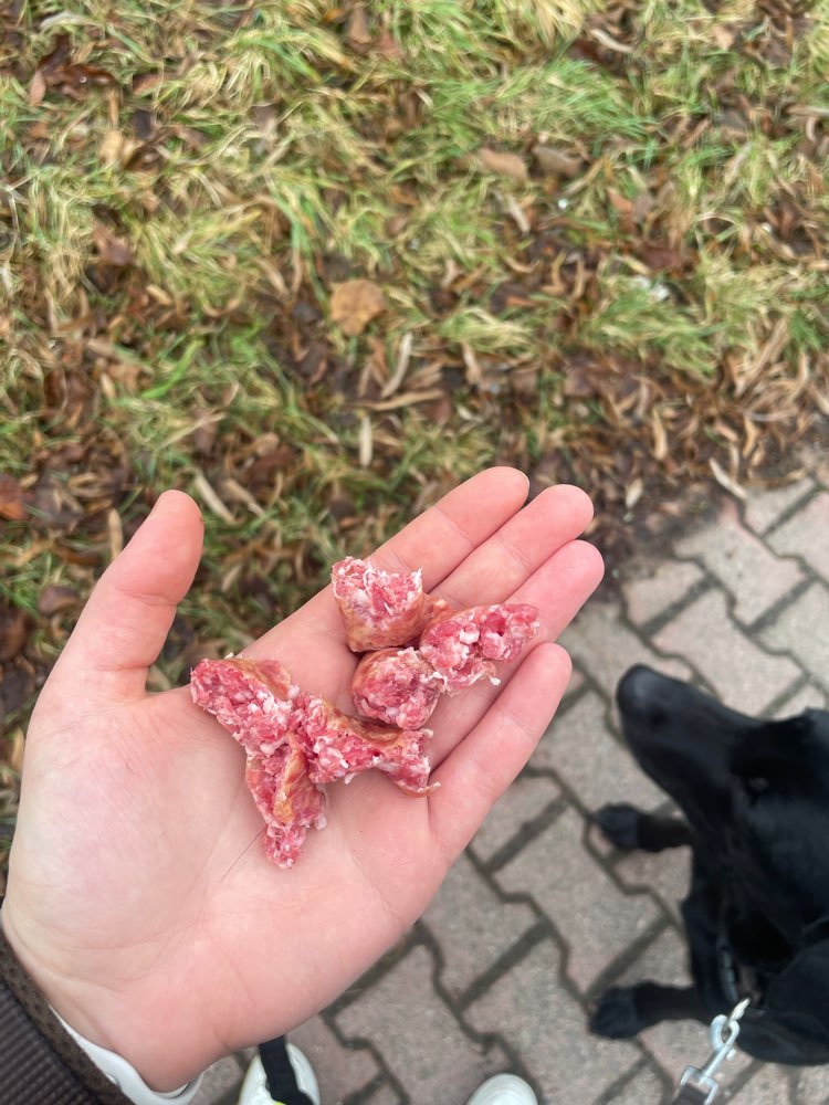 Giftköder-Eventuell Giftköder in Knackerwurst-Profilbild