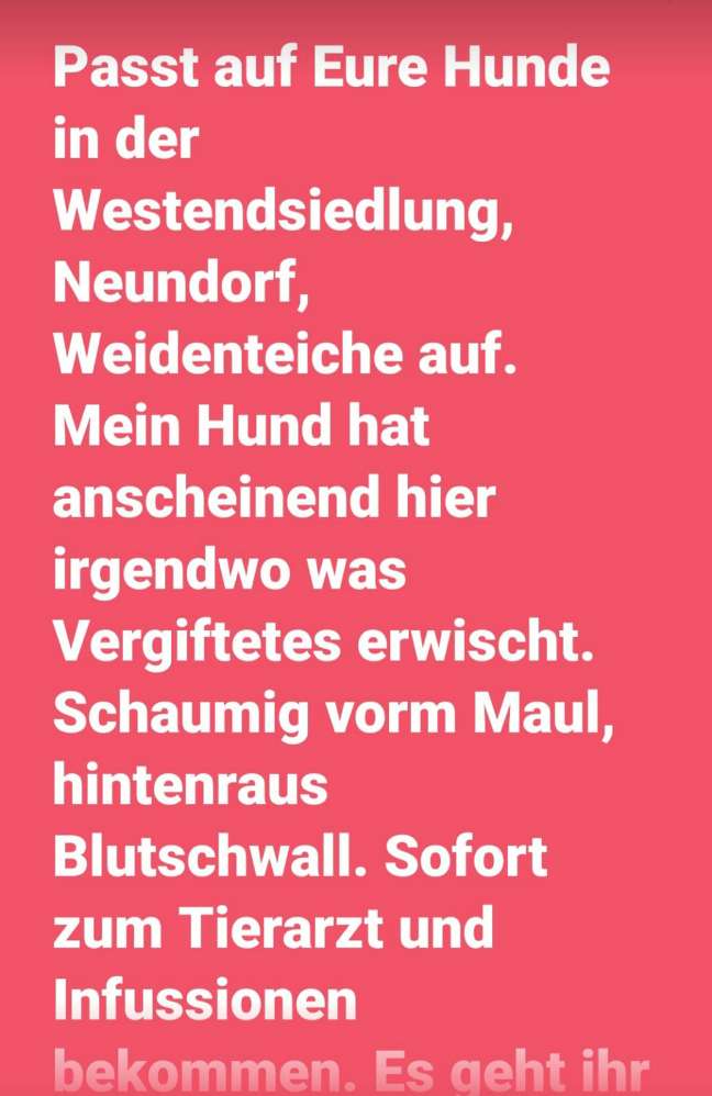 Giftköder-Giftköder-Profilbild