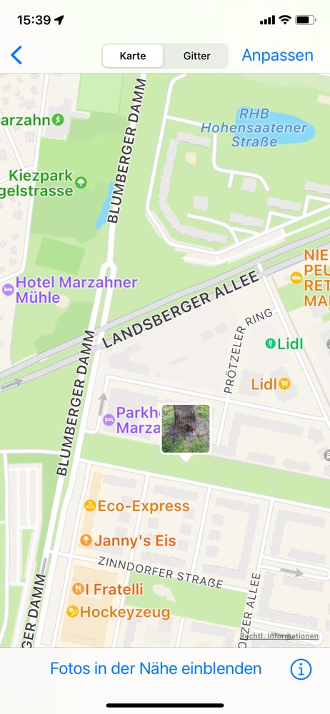 Giftköder-Blaukorn am Baum-Profilbild