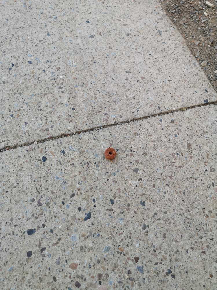 Giftköder-Vermutlich Giftköder-Profilbild