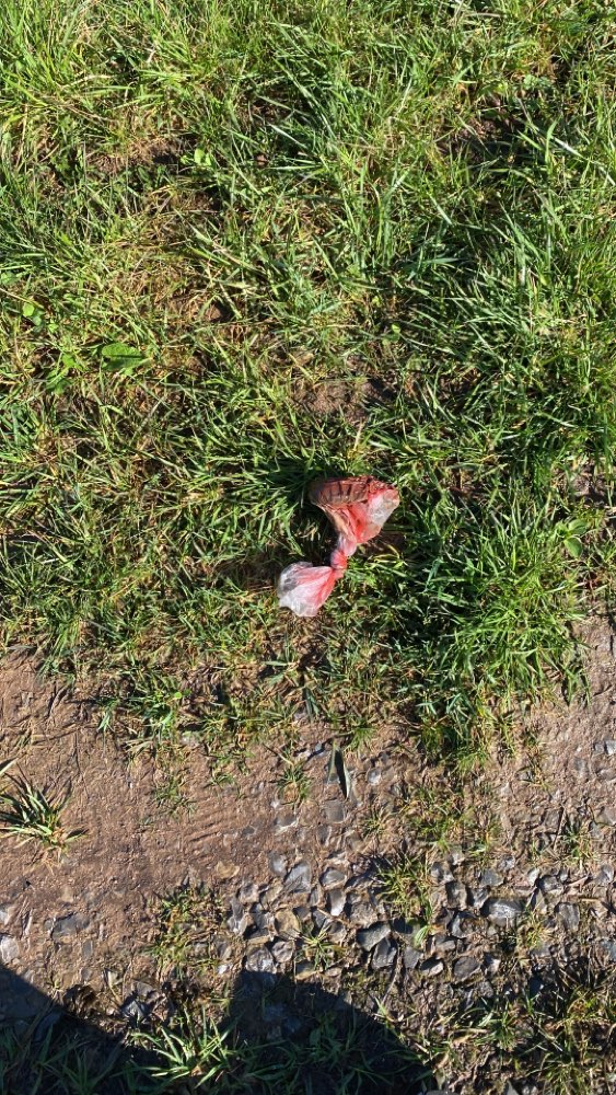 Giftköder-Vermutlicher Giftköder-Profilbild