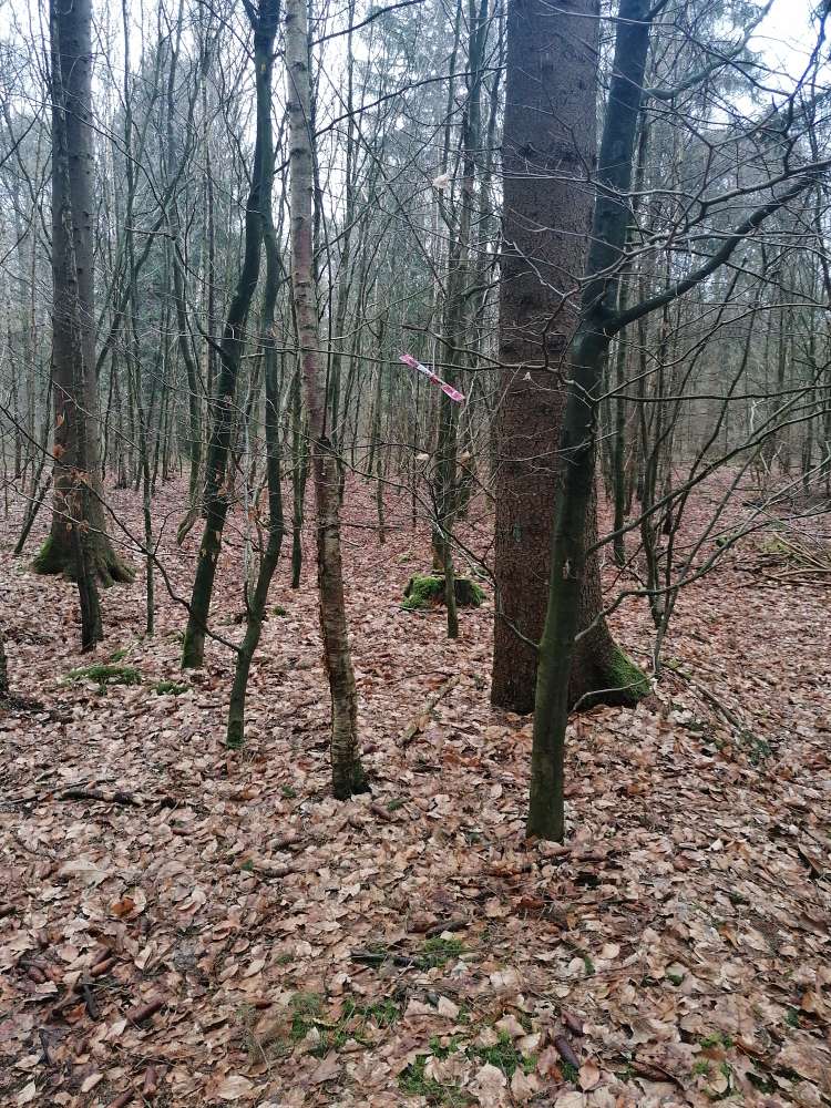 Giftköder-Giftköderwarnung-Profilbild