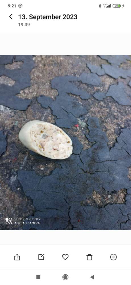 Giftköder-Wurst mit Nägeln-Profilbild