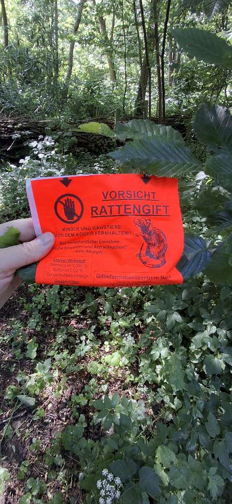 Giftköder-Rattengift an mehreren Stellen-Profilbild