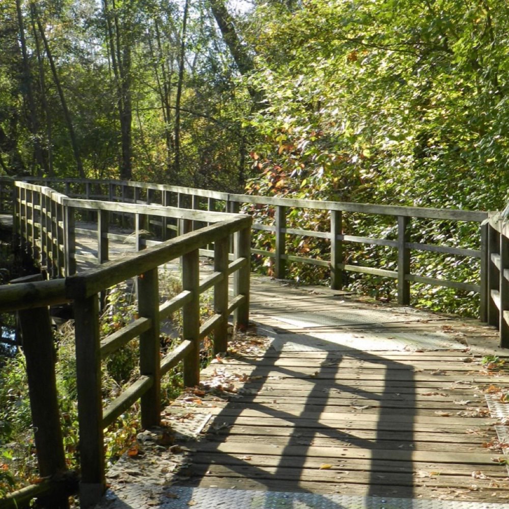 Hundetreffen-Rudower Fließ-Profilbild