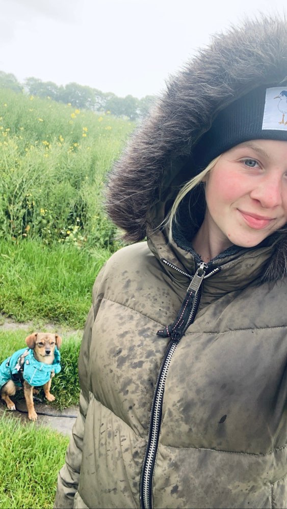 Hundetreffen-Hunde Freund/in für Spaziergänge, Ausflüge und evtl. zum Longboard- oder Fahrradfahren-Profilbild