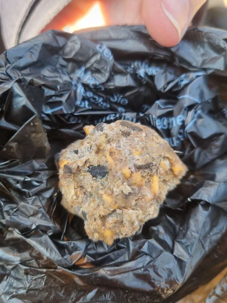 Giftköder-Eventuelle Giftköder-Profilbild