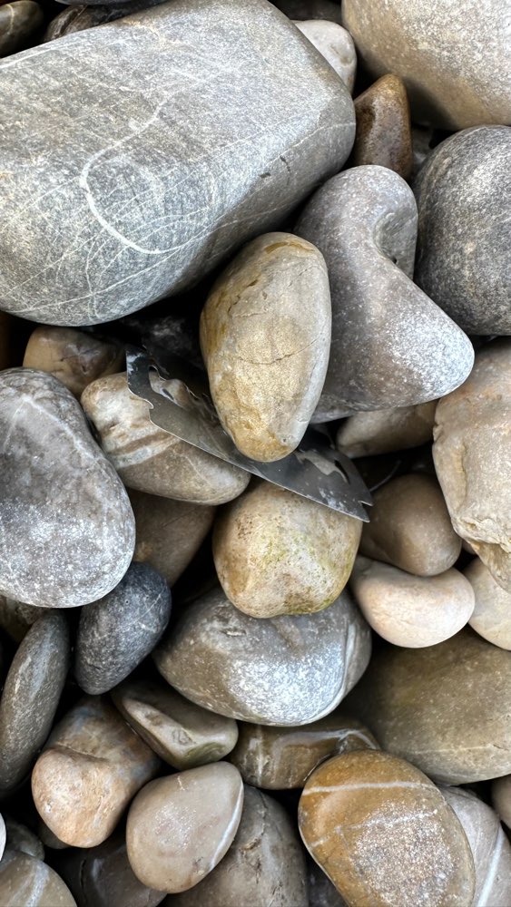 Giftköder-Rasierklingen ausgelegt!-Profilbild