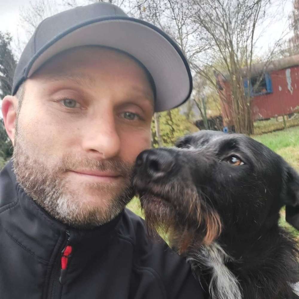 Hundetreffen-Wandern, Toben, Training-Profilbild