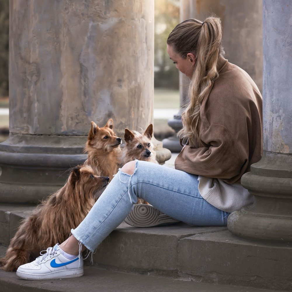 Hundetreffen-Treffen zum Spielen-Profilbild