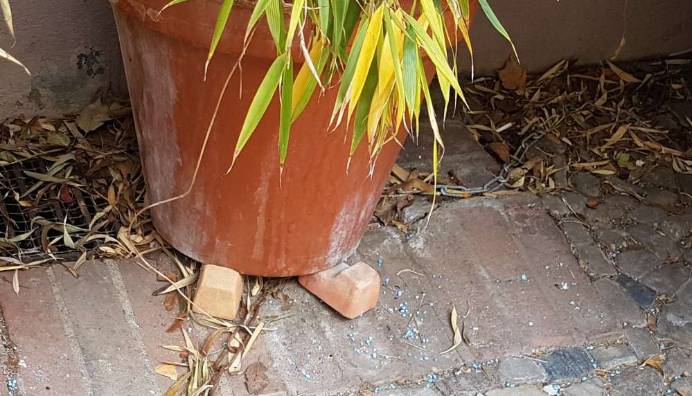 Giftköder-weißes Pulver zwischen Baum und autos-Profilbild