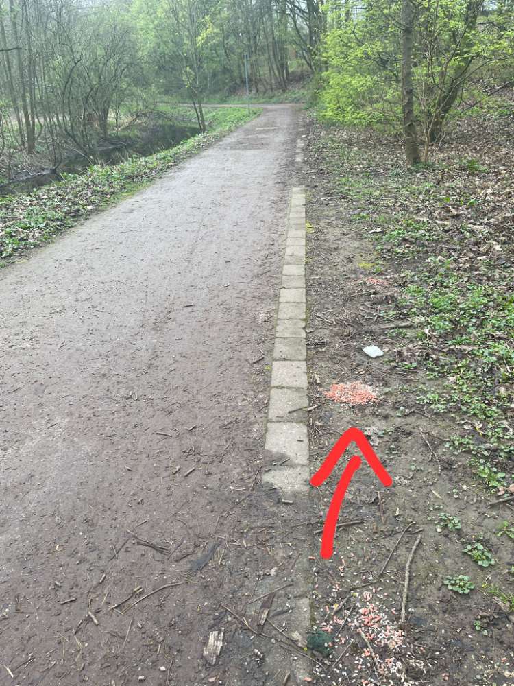 Giftköder-ACHTUNG ERNEUT GIFTKÖDER-Profilbild