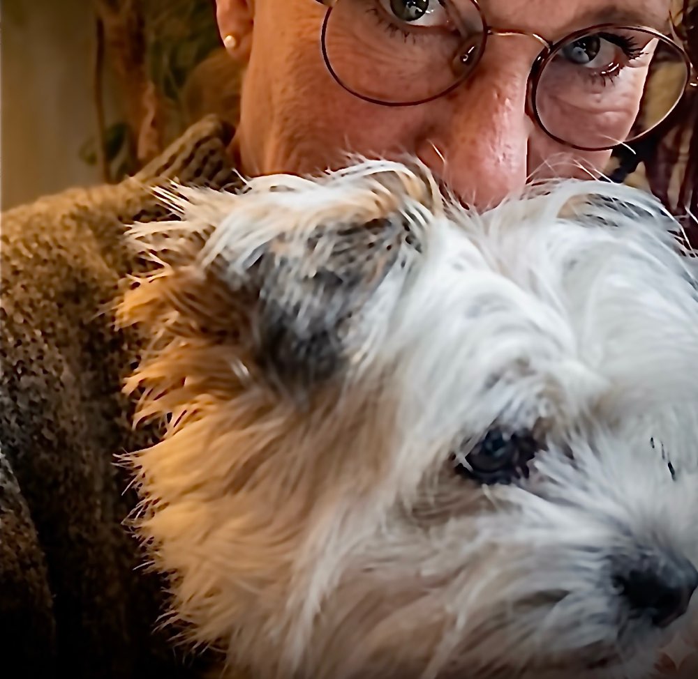 Hundetreffen-Klein Hunde Gassi Runde (bis 8 Kg)-Profilbild