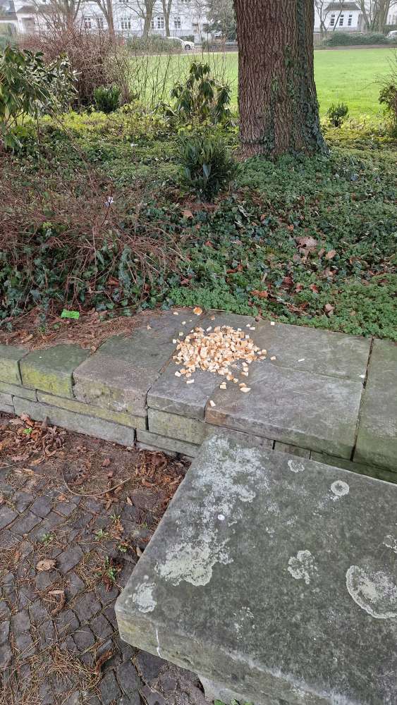 Giftköder-vermutlicher Giftköder-Profilbild