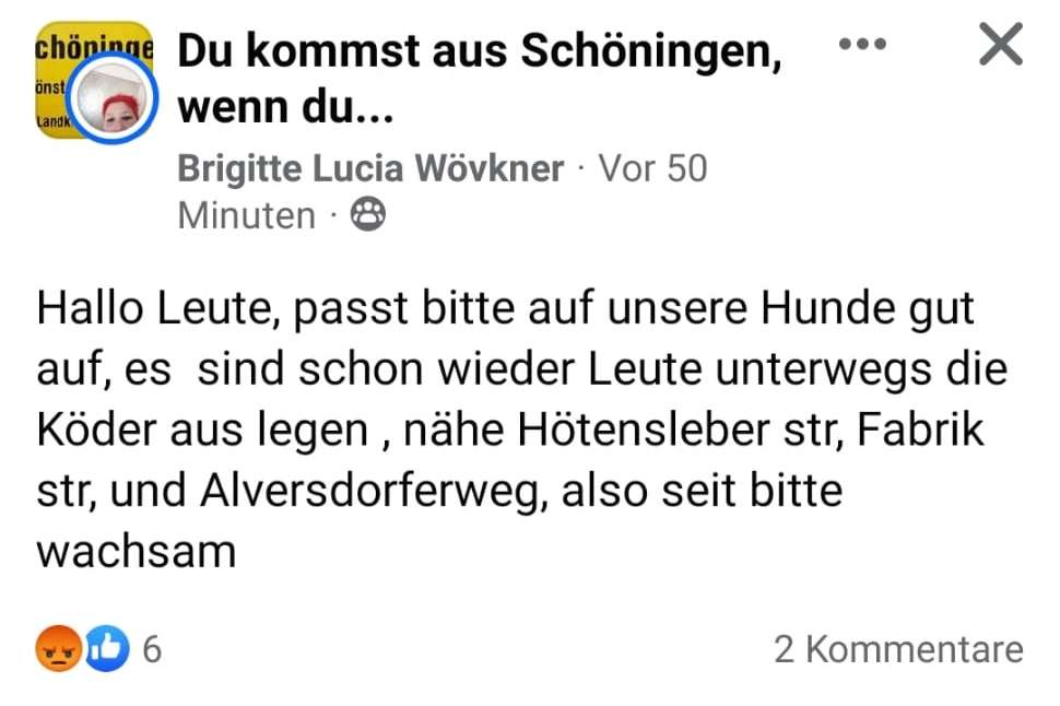 Giftköder-Giftköder-Profilbild
