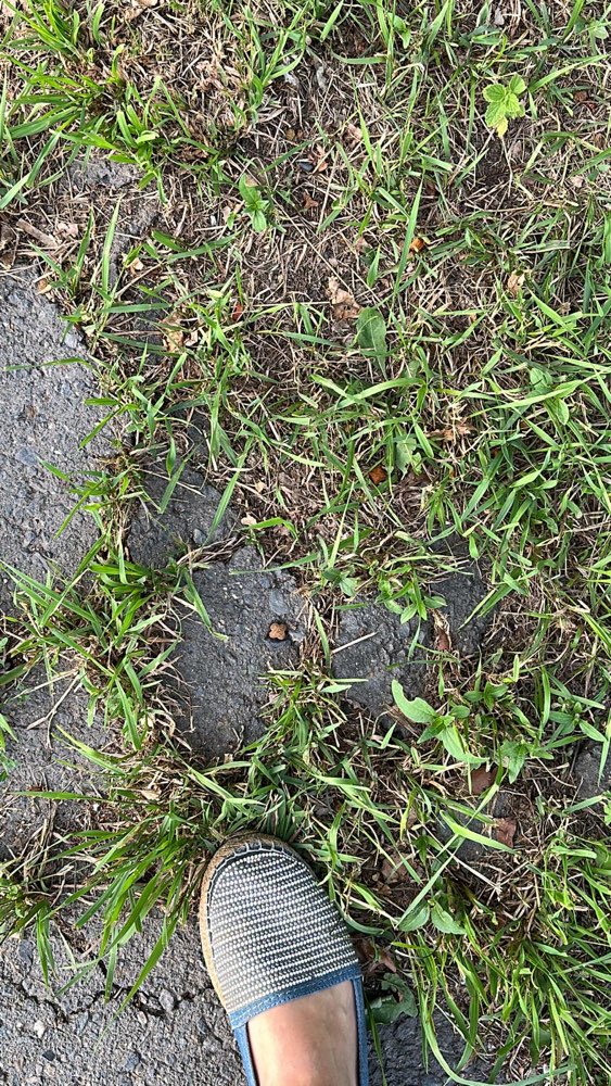 Giftköder-Großflächig verstreutes Katzenfutter-Profilbild