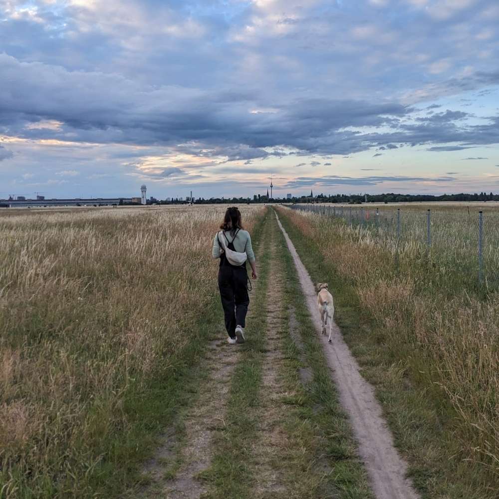 Hundetreffen-Walkies Tempelhofer Feld-Profilbild