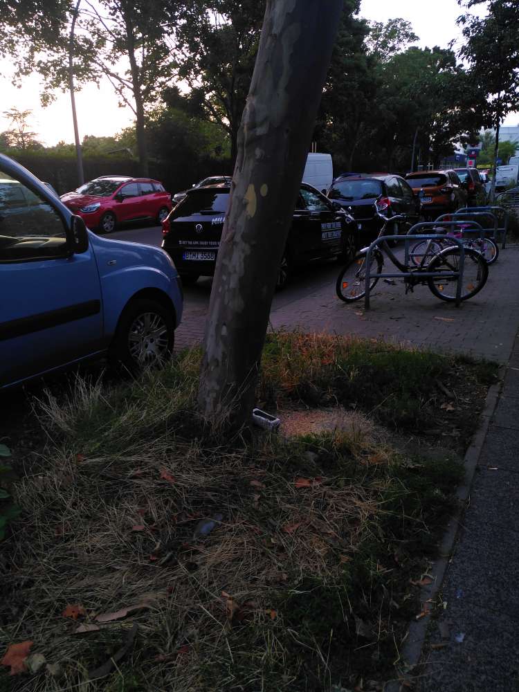 Giftköder-Tote Ratte-Profilbild