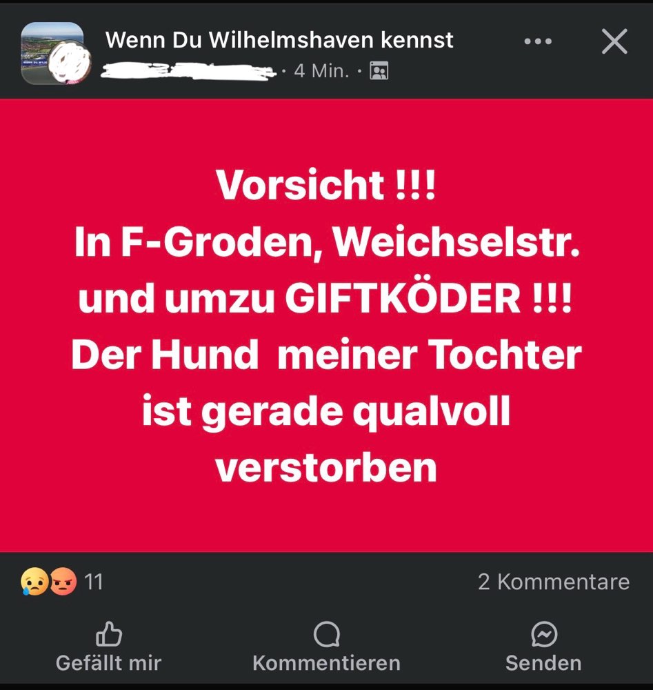 Giftköder-Giftköder-Profilbild