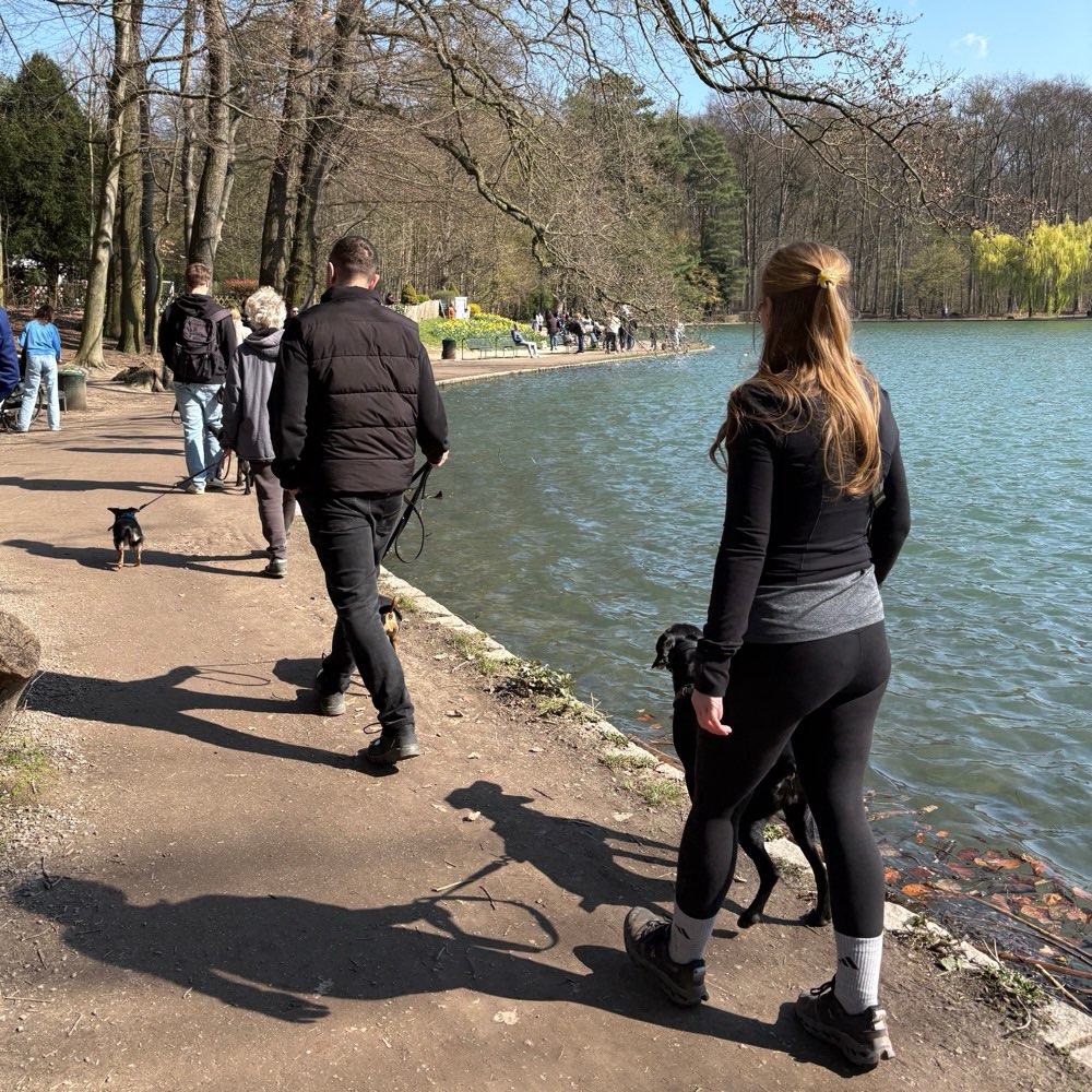 Hundetreffen-Social Walk mit Trainerin 🐕🐩🐕‍🦺🦮-Profilbild