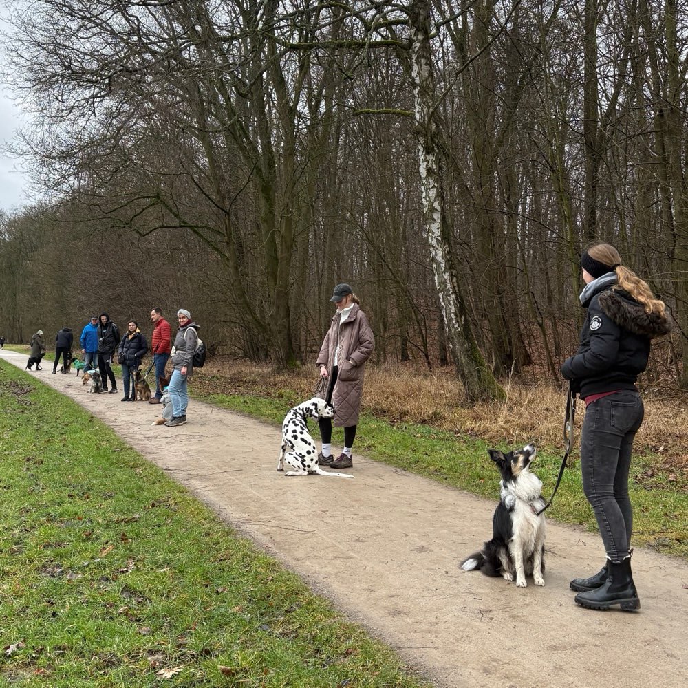 Hundetreffen-Social Walk mit Trainerin 🐕🐩🐕‍🦺🦮-Profilbild