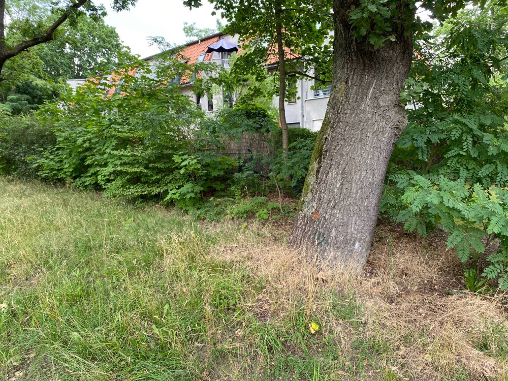 Giftköder-Futter/Leckerlies im Parkeingang-Profilbild