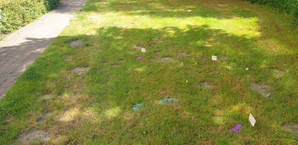 Giftköder-Gift-Profilbild