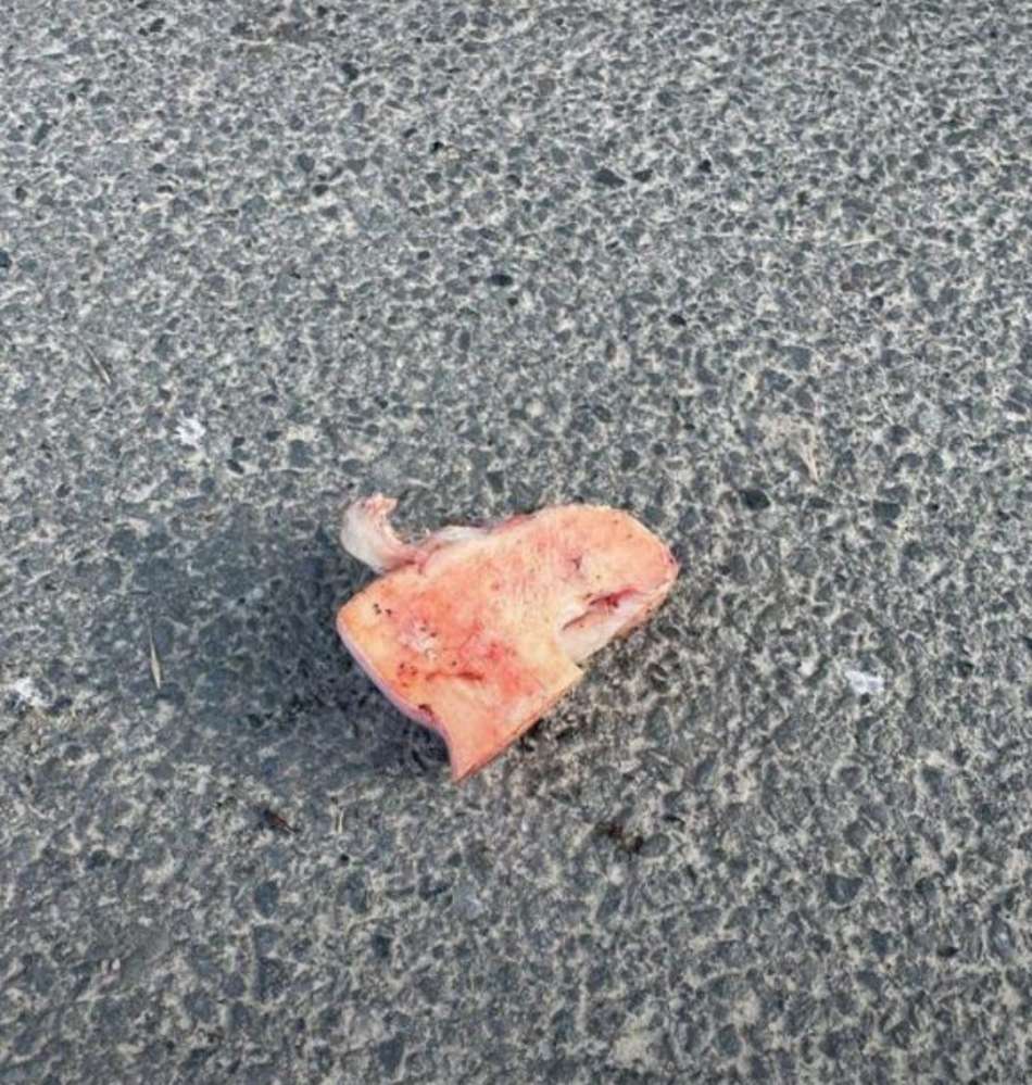 Giftköder-Knochen oder ähnliches-Profilbild