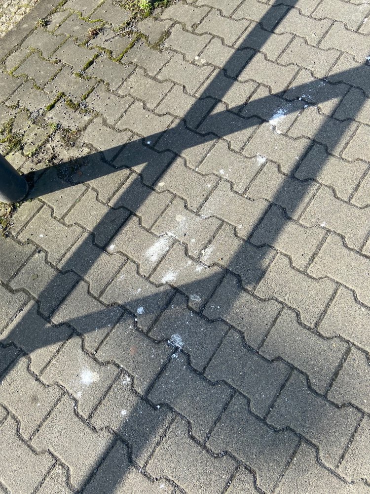 Giftköder-Weißes kristallines Pulver-Profilbild