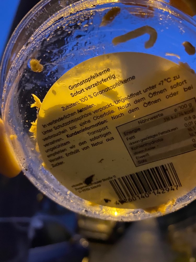 Giftköder-Plastikschale mit Fleischfüllung-Profilbild