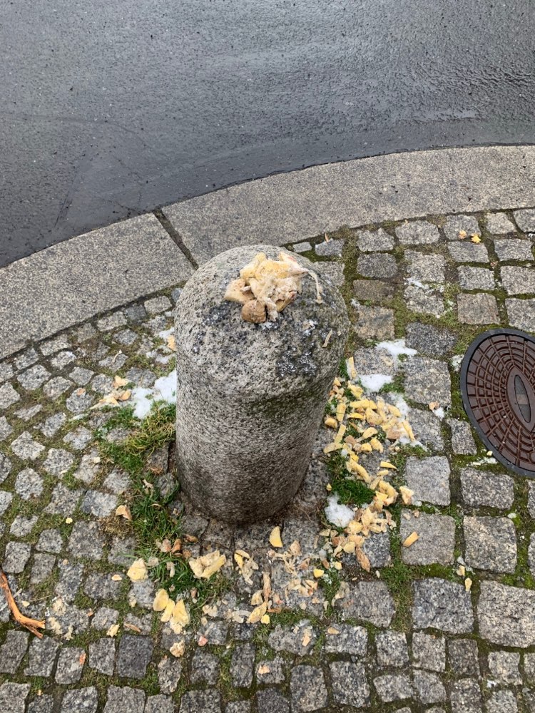 Giftköder-Möglicherweise Giftköder-Profilbild